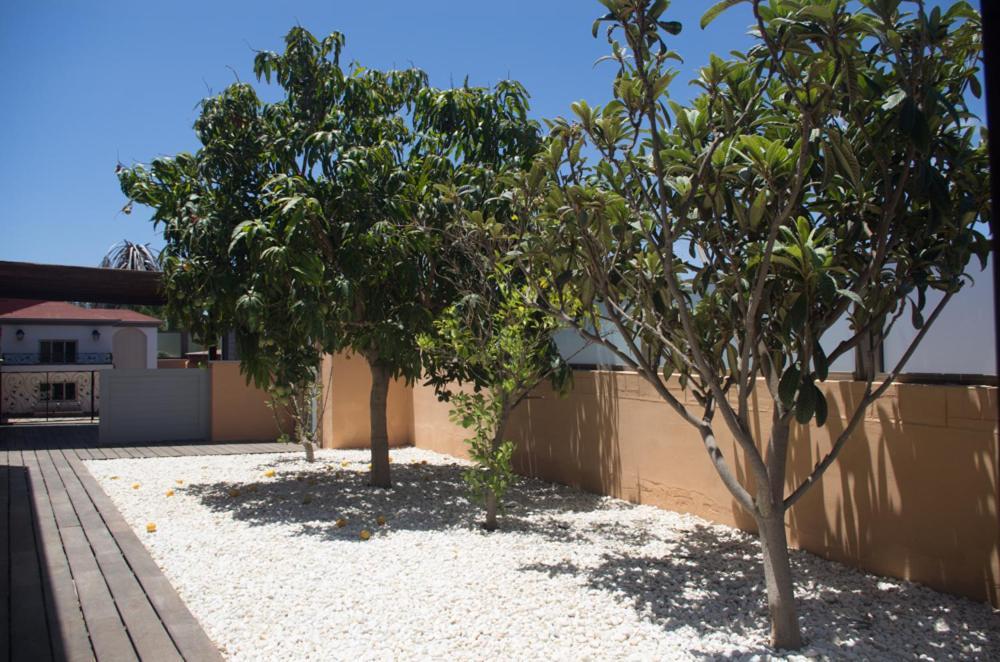 Villa La Marosca - Jacuzzi, Private Pool, 3 Bedrooms 科斯塔卡莱塔 外观 照片